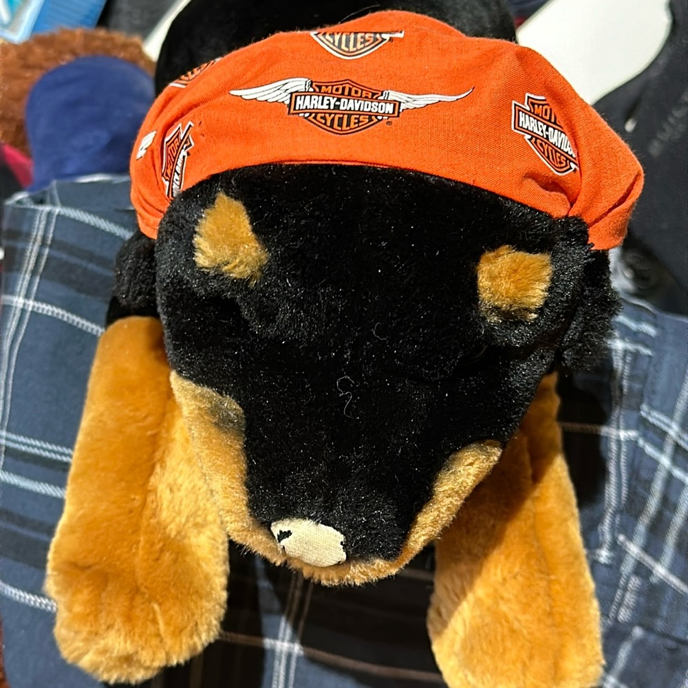 Harley-Davidson Dawg